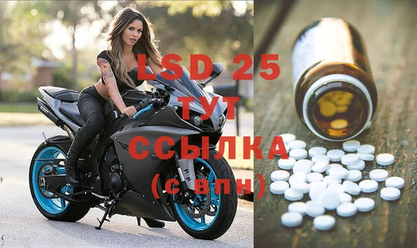 шишки Баксан