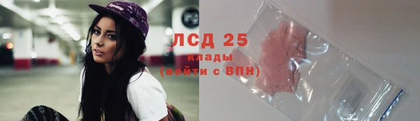 шишки Баксан