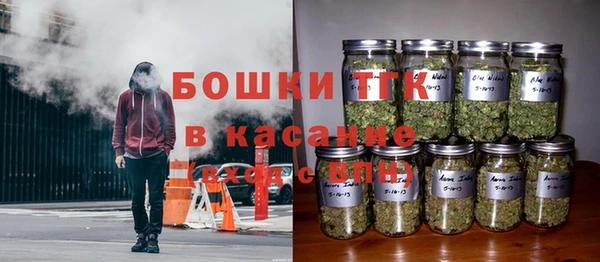 шишки Баксан