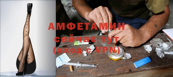 трава Балахна