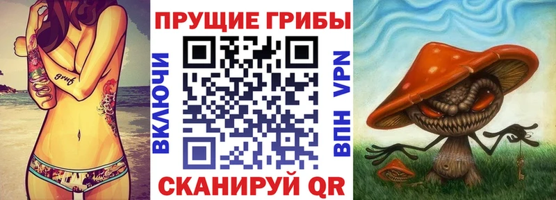 гидра зеркало  Билибино  Галлюциногенные грибы Cubensis 